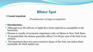 Blister Spot
 Casual organism
Pseudomonas syringae pv.papulans
 Introduction:-
 Although over 20 cultivars of apple have been reported as susceptible to the
bacterium.
 Disease is usually of economic importance only on Mutsu in New York State.
 If uncontrolled, the disease generally affects 5 to 60 per cent of the fruit in an
orchard.
 The bacterium does not cause extensive decay of the fruit, but makes them
unsuitable for fresh market use.
 