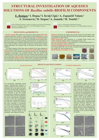 STRUCTURAL INVESTIGATION OF AQUEOUS
SOLUTIONS OF Bacillus subtilis BIOFILM COMPONENTS
E. Benigar,a
I. Dogsa,b
I. Kralj Cigić,a
A. Zupančič Valant,a
S. Sretenovic,b
D. Stopar,b
A. Jamnik,a
M. Tomšič.a,*
a
Chair of Physical Chemistry, Faculty of Chemistry and Chemical Technology,
University of Ljubljana, Večna pot 113, SI-1000 Ljubljana, Slovenia
*
Matija.Tomsic@fkkt.uni-lj.si
b
Chair of Microbiology, Biotechnical Faculty
University of Ljubljana, Večna pot 111, SI-1000 Ljubljana, Slovenia
MOTIVATION and PROSPECTS
Bacillus subtilis (BS) biofilms are composed of sticky gel-like EPS-matrix
(polysaccharide levan, proteins, nucleic acids and other biopolymers). In pure
aqueous system non-ionic levan exhibits rather peculiar non-gelling behavior
up to high concentrations (60 wt. %). However, BS biofilm forms a weak hydro-
gel only up to 8 wt. % of major polymeric component levan. Our goal was to ex-
plore these differences in behavior of BS levan from the structural point of view
and to study the effect of minor biofilm components (nucleic acids, proteins,
simple electrolytes) and bacterial cells on structure and dynamics of levan
solutions.
The results obtained for BS levan were compared to the ones obtained for
commercially available levans from Zymomonas mobilis (ZM) and Erwinia
herbicola (EH). Levan samples and polymeric mixtures were investigated by
rheological, small-angle X-ray scattering (SAXS), static and dynamic light
scattering (SLS and DLS), density and sound velocity measurements, as well
as by microscopy. One of the aims was also to compare the structural proper-
ties of native and synthetic biofilm. Determination of polymer branching after
per-O-methylation analysis and basic chemical and spectrophotometric analy-
sis of the purity of the original levan samples was also performed.
EXPERIMENTAL
Materials. BS levan was isolated and purified directly from BS biofilm. DNA
was isolated from BS cells. ZM and EH levans as well as protein collagen were
purchased from Sigma Aldrich.
SAXS Experiments were performed on a modified Kratky camera with
modern focusing multilayer optics at wavelength of CuK
line.
SLS and DLS Experiments were performed on 3D-DLS Spectrometer in a
3D-cross-correlation mode at λ=632.8 nm.
Dynamic Rheological Experiments were performed on Anton Paar rheome-
ters Physica MCR 302 and 301 with cone-plate geometry (with cone: r=60
mm, angle 0.52° and truncation 62 μm.
Biofilm Growth and Isolation of Levan:
BS culture growth medium 24 h old biofilm raw biofilm isolated EPS isolated levan
RESULTS and CONCLUSIONS
The macroscopic rheological results
showed Newtonian-like behavior of
aqueous solutions of levan at low con-
centrations but at the same time point-
ed out the strongly elastic character of
these solutions. This elastic character
was supported by the DLS results
showing strong nondiffusive relaxation
processes which could be explained by
the strong intramolecular interactions
of levan at such low concentrations.
The latter also manifest themselves in
the presence of large levan particles
that were confirmed by microscopy.
The extent of branching and the hydra-
tion of the levan samples of different
origin were also investigated, but they
did not show any considerable mutual
differences. Structural details on the
nanoscale were obtained by SAXS.
The rheological results showed that
the presence of DNA in levan solution
caused significant increase of its vis-
cosity and a strong pseudoplastic char-
acter, while the presence of collagen
similarly caused a significant increase
of viscosity and pseudoplastic behav-
ior that was accompanied also by the
notable increase in the rigidity of the
system. These results therefore indi-
cate that from the structural point of
view levan in these samples has the
role of a filling agent, long flexible DNA
molecules obviously effectively inter-
connect the levan moieties in the
system and introduce a strong pseudo-
plastic behavior, but less flexible pseu-
doplastic collagen fibrils significantly
contribute to the structural rigidity of
the system.
BS, ZM, EH LEVANS SYNTHETIC BIOFILM BS
Figure 1. Viscosity curves - levans. Figure 2. Amplitude sweeps - levans.
Figure 3. Angle dependent DLS results - levans.
Figure 4. Hydration number - levans.
0.1 1 10 100 1000
1E-3
0.01
0.1
1
10
Medium:
SYM electrolytes
sEPS
nBF2
sBF
SYM
nBF1
.γ [1/s]
η[Pas]
Figure 7. Viscosity curves - L, L+D, L+C, sEPS. Figure 8. Viscosity curves - sEPS, sBF, nBF1, nBF2.
Figure 9. Amplitude sweeps - L, L+D, L+C, sEPS.
Figure 10. Amplitude sweeps - sEPS, sBF, nBF1, nBF2.
0.1 1 10 100 1000
1E-3
0.01
0.1
1
10
100
η[Pas]
.
γ [1/s]
1% levan
8% levan
EH
ZM
BS
EH
ZM
BS
1 10 100 1000 10000
0.01
0.1
1
10
100
1000
1 % levan - G'
1 % levan - G''
8 % levan - G'
8 % levan - G''
EH
ZM
BSZMEH
BS
G',G''[Pa]
γ [%]
(a) Solvent
2 μm
(b) BS
2 μm
(c) ZM
2 μm
(d) EH
2 μm
Figure 5. Microscopy images - levans.
Figure 6. Molecular distribution of 2 % levans in space. Figure 11. SAXS curves - L, L+D, L+C, sEPS.
Figure 12. SAXS curves - sEPS, sBF, nBF.
Figure 12. Microscopy images - L, L+D, L+C, sEPS.
8 µm
(a) L
8 µm
(b) L+D
8 µm
(c) L+C
8 µm
(d) L+D+C
-4.4 -4.2 -4.0 -3.8
3
4
5
6
7
8
ln(1/τc
)
ln(q)
2.000 % BS, slope = 4.41
0.010 % BS, slope = 4.36
1.000 % ZM, slope = 4.22
0.001 % ZM, slope = 4.36
0.100 % EH, slope = 4.35
0.001 % EH, slope = 4.35
DIFFUSIVE CHARACTER: slope = 2
SLOWER NONDIFFUSIVE: slope > 2
0 20 40 60 80
5.6
5.8
6.0
6.2
6.4
6.6
6.8
γ [mg/mL]
BS
ZM
EH
nh
0.1 1 10 100 1000
1E-3
0.01
0.1
1
10
Medium:
SYM electrolytes
L+D+C (= sEPS)
L+C
L+D
SYM
L
.γ [1/s]
η[Pas]
0.1 1 10 100
0.1
1
10
Medium: SYM electrolytes
G'
G''
L+D+C (= sEPS)
L+C
L+D
γ [%]
G',G''[Pa]
0.1 1 10 100
0.1
1
10
Medium: SYM electrolytes
G'
G''
sEPS
nBF2
sBF
nBF1
γ [%]
G',G''[Pa]
0.1 1
0.01
0.1
L+C
Medium:
SYM electrolytes
L+D+C(= sEPS)
L
L+D
q [nm-1
]
I(q)[cm-1
]
0.1 1
0.01
0.1
1
Medium:
SYM electrolytes
nBF
sEPS
sBF
q [nm-1
]
I(q)[cm-1
]
 