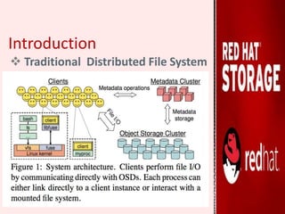Introduction
 Traditional Distributed File System
 