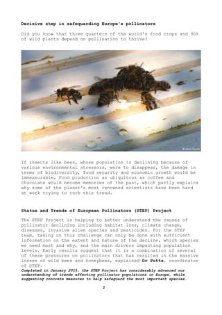 SAVE OUR BEES | PDF