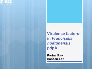 Virulence factors
in Francisella
noatunensis:
pdpA
Karina Ray
Hansen Lab
 