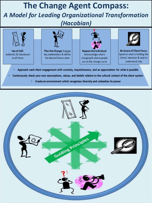 The Change Agent Compass: Guiding Principles