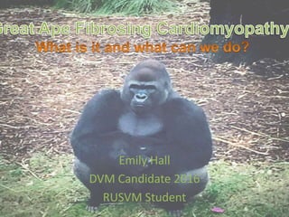 Emily Hall
DVM Candidate 2016
RUSVM Student
 