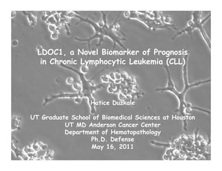 LDOC1, a Novel Biomarker of Prognosis
in Chronic Lymphocytic Leukemia (CLL)
Hatice Duzkale
UT Graduate School of Biomedical Sciences at Houston
UT MD Anderson Cancer Center
Department of Hematopathology
Ph.D. Defense
May 16, 2011
 