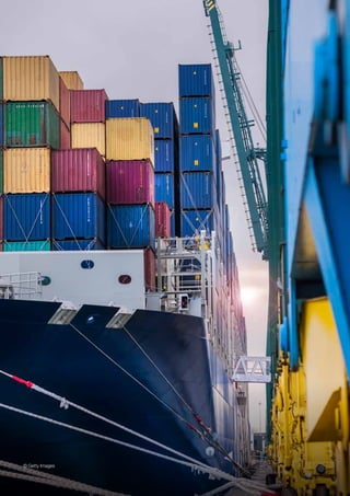 Executive summary: Glasses man
© Getty Images
 