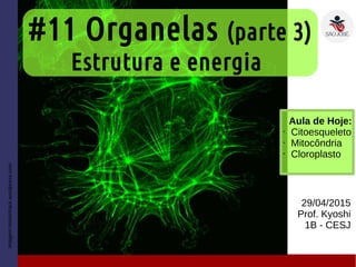 #11 Organelas (parte 3)
29/04/2015
Prof. Kyoshi
1B - CESJ
Imagem:mistertrack.wordpress.com
Aula de Hoje:
• Citoesqueleto
• Mitocôndria
• Cloroplasto
Estrutura e energia
 