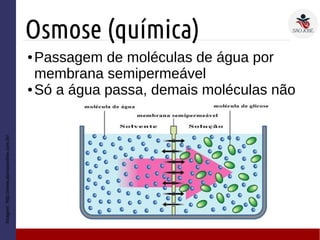 Osmose (química)
● Passagem de moléculas de água por
membrana semipermeável
● Só a água passa, demais moléculas não
Imagem:
http://www.alunosonline.com.br/
 