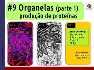 #9 Organelas (parte 1)
22/04/2015
Prof. Kyoshi
1B - CESJ
Imagem:fineartamerica.com
Aula de Hoje:
• Transcrição
• Ribossomos
• Reticulo
• Golgi
produção de proteínas
 
