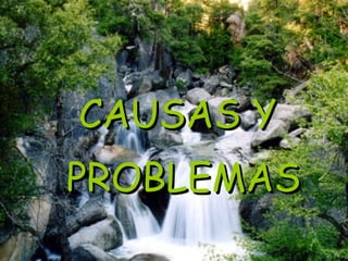CAUSAS Y  PROBLEMAS 