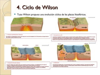 4. Ciclo de Wilson4. Ciclo de Wilson
 Tuzo Wilson propuso una evolución cíclica de las placas litosféricas.
 