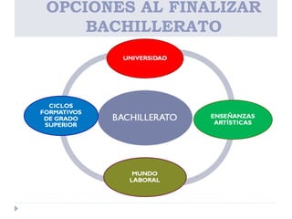OPCIONES AL FINALIZAR
BACHILLERATO
 