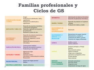 Familias profesionales y
Ciclos de GS23
 