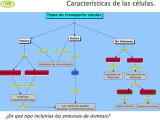 179
¿En qué tipo incluirías los procesos de ósmosis?
 