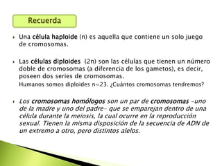  Una célula haploide (n) es aquella que contiene un solo juego
de cromosomas.
 Las células diploides (2n) son las células que tienen un número
doble de cromosomas (a diferencia de los gametos), es decir,
poseen dos series de cromosomas.
Humanos somos diploides n=23. ¿Cuántos cromosomas tendremos?
 Los cromosomas homólogos son un par de cromosomas -uno
de la madre y uno del padre- que se emparejan dentro de una
célula durante la meiosis, la cual ocurre en la reproducción
sexual. Tienen la misma disposición de la secuencia de ADN de
un extremo a otro, pero distintos alelos.
Recuerda
 