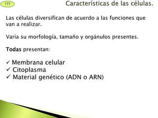 Las células diversifican de acuerdo a las funciones que
van a realizar.
Varía su morfología, tamaño y orgánulos presentes.
Todas presentan:
 Membrana celular
 Citoplasma
 Material genético (ADN o ARN)
177
 