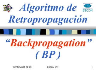 Algoritmo de Retropropagación “ Backpropagation ” ( BP ) 