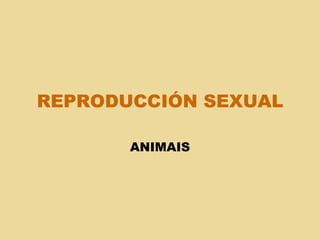 REPRODUCCIÓN SEXUAL ANIMAIS 