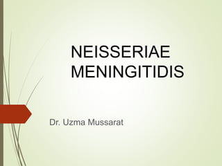 NEISSERIAE
MENINGITIDIS
Dr. Uzma Mussarat
 
