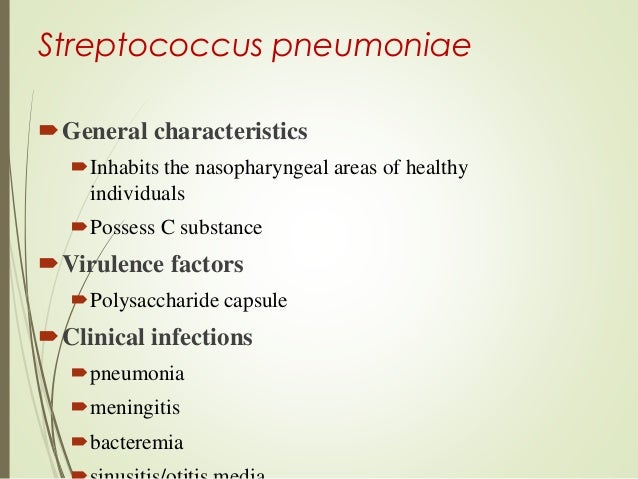 Bacterial Meningitis Bacterial Meningitis