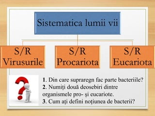 Sistematica lumii vii
S/R
Virusurile
S/R
Procariota
S/R
Eucariota
1. Din care supraregn fac parte bacteriile?
2. Numiți două deosebiri dintre
organismele pro- și eucariote.
3. Cum ați defini noțiunea de bacterii?
 