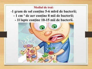 Mediul de trai:
-1 gram de sol conține 5-6 mlrd de bacterii;
- 1 cm ³ de aer conține 8 mii de bacterii;
- 1l lapte conține 10-15 mii de bacterii.
 