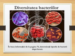 Diversitatea bacteriilor
În baza informației de la pagina 76, determinați tipurile de bacterii
după formă.
 