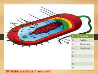 Structura celulei Procariote
1. Capsula
2. P.celular
3. Membrana
4. Citoplasma
5.
6.
7.
8.
9.
 