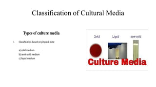 Classification of Cultural Media