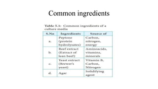 Common ingredients