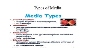 Types of Media