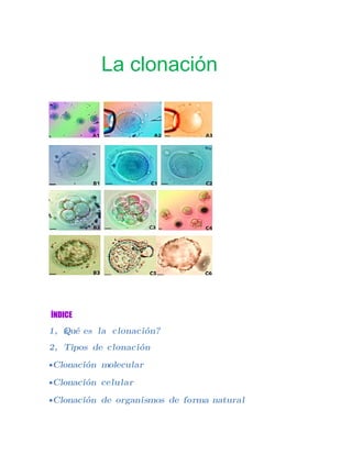 La clonación




ÍNDICE
1, Qué es la clonación?
   ż
2, Tipos de clonación
•Clonación molecular

•Clonación celular

•Clonación de organismos de forma natural
 