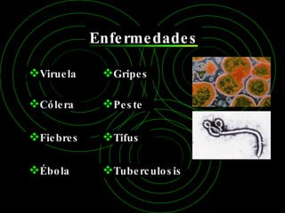 Enfermedades Viruela Cólera Peste Fiebres Tuberculosis Ébola Tifus Gripes 