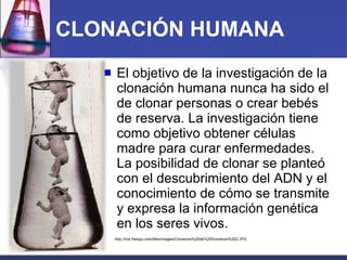 CLONACIÓN HUMANA El objetivo de la investigación de la clonación humana nunca ha sido el de clonar personas o crear bebés de reserva. La investigación tiene como objetivo obtener células madre para curar enfermedades.  La posibilidad de clonar se planteó con el descubrimiento del ADN y el conocimiento de cómo se transmite y expresa la información genética en los seres vivos. http://mix.fresqui.com/files/images/Clonacion%20de%20Humanos%202.JPG 