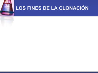 LOS FINES DE LA CLONACIÓN 