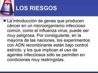 LOS RIESGOS La introducción de genes que producen cáncer en un microorganismo infeccioso común, como el influenza virus, puede ser muy peligrosa. Por consiguiente, en la mayoría de las naciones, los experimentos con ADN recombinante están bajo control estricto, y los que implican el uso de agentes infecciosos sólo se permiten en condiciones muy restringidas.  