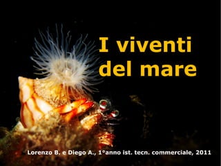 I viventi
del mare
Lorenzo B. e Diego A., 1°anno ist. tecn. commerciale, 2011
 