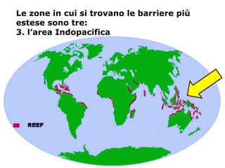 Le zone in cui si trovano le barriere più
estese sono tre:
3. l’area Indopacifica
 