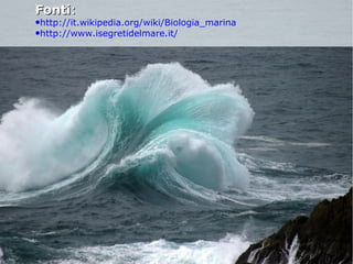 FontiFonti::
●http://it.wikipedia.org/wiki/Biologia_marina
●http://www.isegretidelmare.it/
 