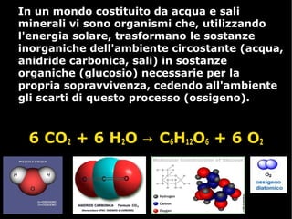 In un mondo costituito da acqua e saliIn un mondo costituito da acqua e sali
minerali vi sono organismi che, utilizzandominerali vi sono organismi che, utilizzando
l'energia solare, trasformano le sostanzel'energia solare, trasformano le sostanze
inorganiche dell'ambiente circostante (acqua,inorganiche dell'ambiente circostante (acqua,
anidride carbonica, sali) in sostanzeanidride carbonica, sali) in sostanze
organiche (glucosio) necessarie per laorganiche (glucosio) necessarie per la
propria sopravvivenza, cedendo all'ambientepropria sopravvivenza, cedendo all'ambiente
gli scarti di questo processo (ossigeno).gli scarti di questo processo (ossigeno).
6 CO2 + 6 H2O C→ 6H12O6 + 6 O2
 