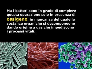 Ma i batteri sono in grado di compiereMa i batteri sono in grado di compiere
questa operazione solo in presenza diquesta operazione solo in presenza di
ossigenoossigeno, in mancanza del quale le, in mancanza del quale le
sostanze organiche si decompongonosostanze organiche si decompongono
dando origine a gas che impedisconodando origine a gas che impediscono
i processi vitali.i processi vitali.
 