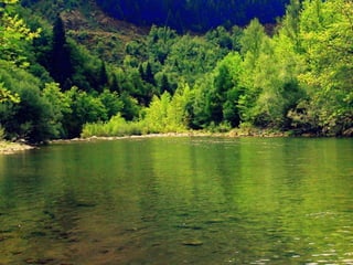 παρουσίαση1 balia kalmnta