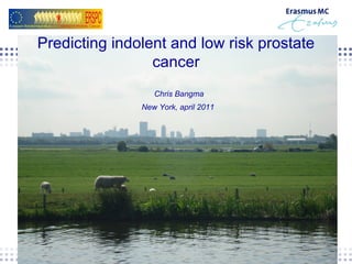 Predicting indolent and low risk prostate cancer Chris Bangma  New York, april 2011  