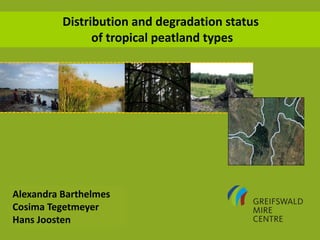 Distribution and degradation status
of tropical peatland types
Alexandra Barthelmes
Cosima Tegetmeyer
Hans Joosten
 