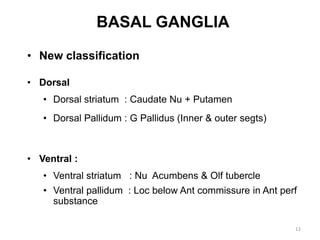 1 basal ganglia | PPTX