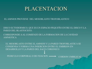 PLACENTACION
EL AMNIOS PROVIENE DEL MESOBLASTO TROFOBLASTICO
DISCO ECTODERMICO, QUE ES UN ESPACIO PEQUEÑO ENTRE EL DISCO Y LA
PARED DEL BLASTOCISTO.
CORRESPONDE AAL COMIENZO DE LA FORMACION DE LA CAVIDAD
AMNIOTICA
EL MESOBLASTO ENTRE EL AMNIOS Y LA PARED TROFOBLASTICA SE
CONDENSA Y FORMA UNA INSERCION ENTRE EL EMBRION EN
DESARROLLO Y LA PARED DEL SACO CORIONICO
PEDICULO CORPORAL O DE FIJACION CORDON UMBILICAL
 