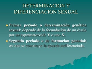 DETERMINACION Y
DIFERENCIACION SEXUAL
 Primer periodo o determinación genética
sexual: depende de la fecundación de un óvulo
por un espermatozoide Y o uno X.
 Segundo periodo o de formación gonadal:
en este se constituye la gónada indiferenciada.
 