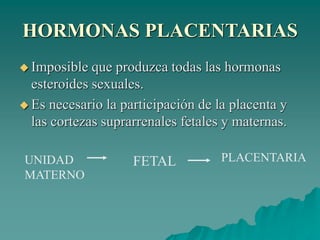 HORMONAS PLACENTARIAS
 Imposible que produzca todas las hormonas
esteroides sexuales.
 Es necesario la participación de la placenta y
las cortezas suprarrenales fetales y maternas.
UNIDAD
MATERNO
FETAL PLACENTARIA
 