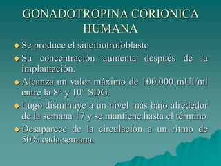 GONADOTROPINA CORIONICA
HUMANA
 Se produce el sincitiotrofoblasto
 Su concentración aumenta después de la
implantación.
 Alcanza un valor máximo de 100,000 mUI/ml
entre la 8° y 10° SDG.
 Lugo disminuye a un nivel más bajo alrededor
de la semana 17 y se mantiene hasta el término
 Desaparece de la circulación a un ritmo de
50% cada semana.
 