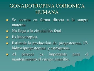 GONADOTROPINA CORIONICA
HUMANA
 Se secreta en forma directa a la sangre
materna
 No llega a la circulación fetal.
 Es luteotrópica
 Estimula la producción de: progesterona, 17-
hidroxiprogesterona y estrógenos.
 Al parecer es importante para el
mantenimiento el cuerpo amarillo.
 