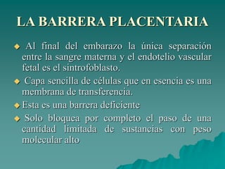 LA BARRERA PLACENTARIA
 Al final del embarazo la única separación
entre la sangre materna y el endotelio vascular
fetal es el sintrofoblasto.
 Capa sencilla de células que en esencia es una
membrana de transferencia.
 Esta es una barrera deficiente
 Solo bloquea por completo el paso de una
cantidad limitada de sustancias con peso
molecular alto
 